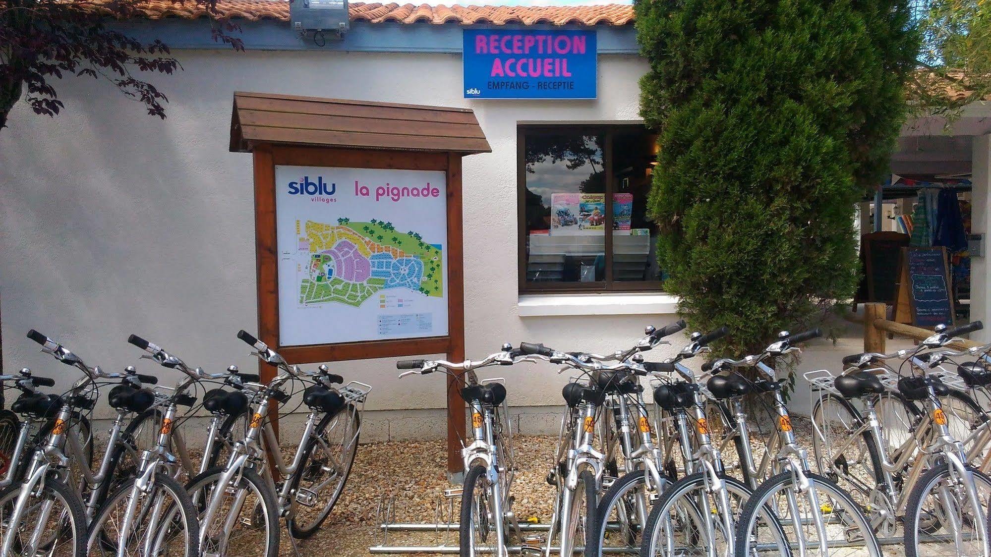 Camping Officiel Siblu La Pignade Ronce-les-Bains Exterior foto